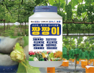 수용성 규산제(SiO3) 35% 함유 짱짱이 규산염, 도복방지,염류농도 경감 pH산도조절 뿌리발근제 500ml,1L : 필수농자재
