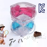 개미키우기 앤트캐슬 개미들의 성지 KC인증 개미하우스 개미체험 개미기르기 : 스마트하니C