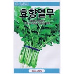 그린하트 효향 열무씨앗 열무씨 종자 : 바른농자재