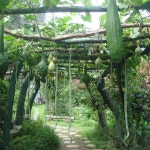 경북e누리 울릉도 케이블카+모노레일+봉래폭포+해중전망대+관음도+예림원+카페 : 경북여행몰