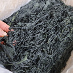 해미담 24년도 생산 최상급 부드러운 맥반석 완도 미역 300g+300g 2봉입 산모용 : 맑은 먹거리 금복식품