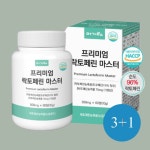 머거요 3+1  프리미엄락토페린 : 와이비케이