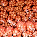 햇양파 산지직송 국내산 고흥 금산 양파 10kg : 오앤디상회몰
