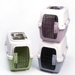 프 소 트켄넬 중형견켄넬 : 엘티케이이