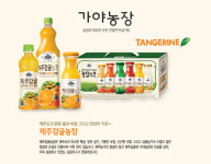 웅진식품 가야농장 제주감귤 펫 340ml 제주감귤페트 제주감귤패트 : P제이몰