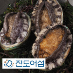 진도어섬 로컬푸드 활전복 08-09미 / 20-25미 : 진도수협로컬푸드:진도어섬
