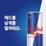 [공식] 레드불 에너지 드링크 오리지널 250ml 24캔 : 레드불공식몰