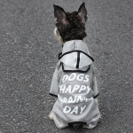 바우독 해피데이 올인원 우비 강아지 레인코트 판초 우의 : 도그웨그