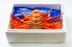 제철 울진 박달홍게 찜 산지직송 후포리 자숙홍게 3kg : 팔도강산홍반장