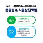 분리유청단백질 농축단백질 저분자단백질 면역글로불린 90정 2병 : 현 가든