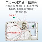 개미키우기 화이트 엔트하우스 아크릴 분양 엔트 개미 학습 사육장 : 달리아라