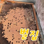 스틱 꿀 선물 세트 (대구 산너머그집 꿀) : 산 너머 그집 벌꿀