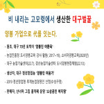 스틱 꿀 선물 세트 (대구 산너머그집 꿀) : 산 너머 그집 벌꿀
