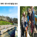 스틱 꿀 선물 세트 (대구 산너머그집 꿀) : 산 너머 그집 벌꿀