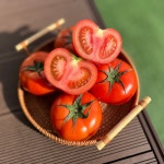 유럽종 완숙 찰 토마토 2.5kg 최상품 -청년농부가 키운 데일리레드 토마토 : 데일리레드