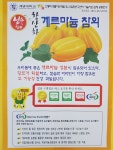 신가네농부 성주게르마늄참외 선물용, 가정용, 꼬마참외 10kg : 신가네농부