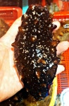 동해바다 해녀가 직접 잡은 자연산 大 해삼 1kg 홍삼 흑삼 : 팜이안
