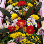 개업 결혼식 전국꽃배달 축하화환 3단 알뜰형 : 사팔플라워