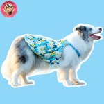 멍빅 중형견옷 대형견 플라워 원피스 멍피스 강아지옷 : 멍빅