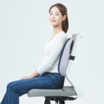 피새오 등받이 허리쿠션 1+1 : 헬쓰넛