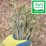 (무농약인증3년차) 하동 야생 건고사리(25년 생산) : 악양꾸러미