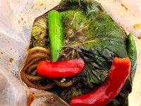 장아찌 명이나물 머위 민들레 두릅 절임 짱아치 1kg : 더주는농장