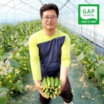 양주 은아농장 [산지직송][당일수확]GAP가 인증한 신선한 미니오이 : 은아농장오이지