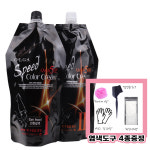 올가 스피드 먹물염색약 5분완성 셀프시술 새치커버 진한갈색 염색도구 포함 500g : 다주자뷰티