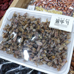 [부천시 배달] 국내산 여수 꼴뚜기 140g [원종 복된건어물] : 동네시장 장보기