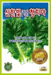 KS신한빛청치마상추 3000립 : 모든농자재