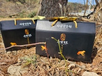 선물용 와담우보 골드프리미엄플러스 북방산 개구리즙 120포 개구리농장 자연산 백두산 : 조선팔도 와담