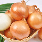 양파 햇양파 3kg 5kg 10kg 장아찌용 요리용 : 후레쉬빌