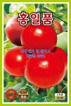 KS홍일품토마토 100립 : 모든농자재