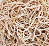 자매 중국식품 말린낙지 유위썰 낙지썰 유위쓰 500g : 자매중국식품