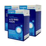 영진약품 영플랜 눈건강 루테인 지아잔틴 3박스 3개월분 : 영진약품