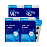 영진약품 영플랜 눈건강 루테인 지아잔틴 30캡슐, 4개 : 나이스이샵