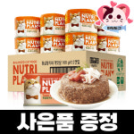 동원 뉴트리플랜 고양이캔 참치 닭가슴살 160g 12캔 길냥이 길고양이캔 통조림 습식 : 파워도그