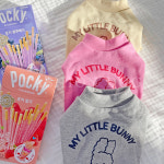 강아지옷 맨투맨 신상 티셔츠 애견의류 반려견 : 스테이잡화점