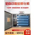 알 인큐베이터 부화기 조류 산란기 양계장 농촌용 닭 병아리 오리 거위 : 연예샵