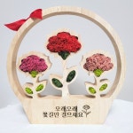 스칸디아모스 카네이션  레드, 핑크 혼합  3구 바구니 : 무니모스마켓