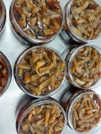 속리의사계3종 수제장아찌 국내산 궁채장아찌 400g : 민주 농원