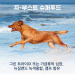 지위픽 독 식품 양고기 454g : 지펫온라인쇼핑몰