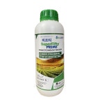 피프티500ml 아스코필럼노도섬 해조추출물 : 지렁이마을