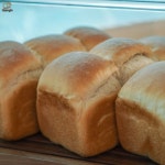 향인 천연발효종 우리밀100% 식빵 저당 저칼로리 샌드위치빵 토스트 (440g) : Bakery 향인