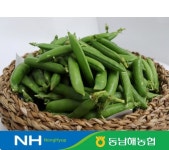 동남해농협 보물섬 남해 완두콩1kg 산지직송 : 동남해농협 농특산물판매장