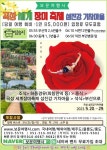곡성세계장미축제 섬진강 기차마을 부산출발 당일코스 : 보문여행사