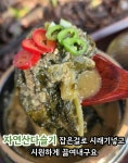 시래기 듬뿍넣은 올갱이해장국 5팩,10팩 국내산 간편국 : 민주 농원