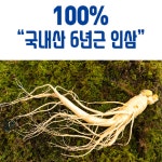 대동고려삼 6년근 인삼 농축액 100% 240g 국내산 진세노사이드 33mg 면역력 피로 : 프레쉬21