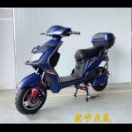 문의 장거리달리기왕 전기차 : 상아마트