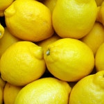 팬시레몬 미국산 칠레산 가정용 납품용 레몬 가락시장 도매 : 더프루츠